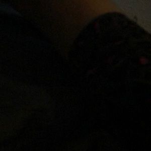 Meet your Posher, Juan